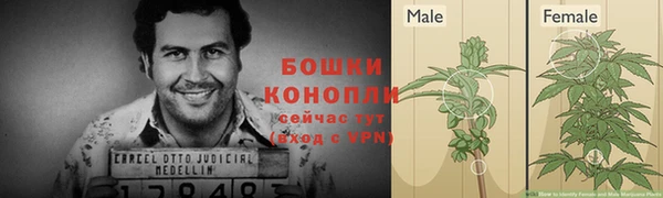apvp Абаза