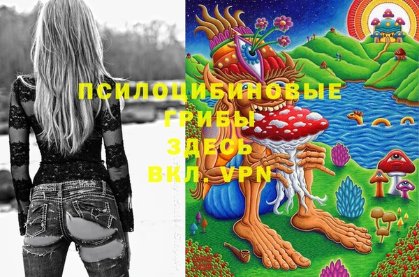apvp Абаза