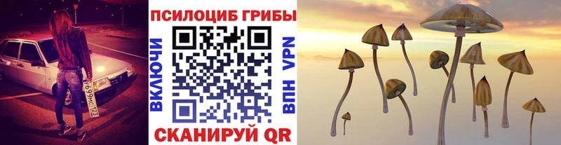 Псилоцибиновые грибы Cubensis  МЕГА маркетплейс  Сертолово  закладка 