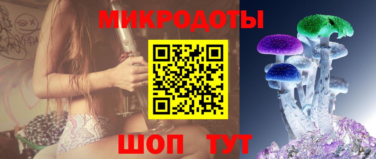 Псилоцибиновые грибы Psilocybine cubensis Сертолово